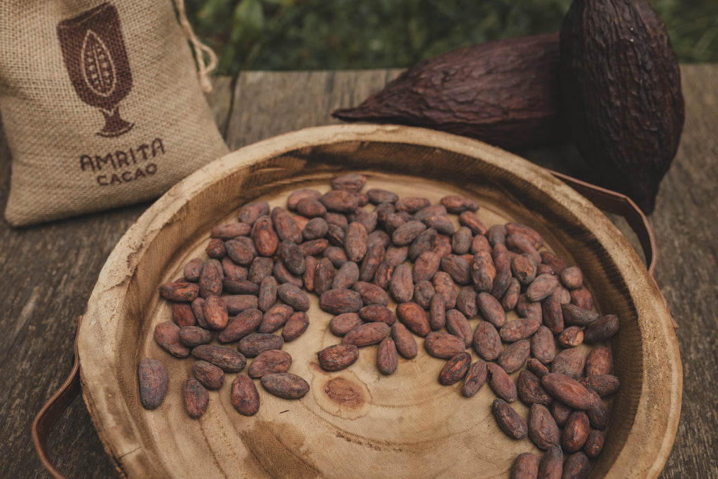 Cacao Beans